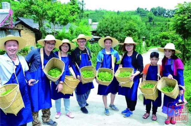 转载 | 云报专访大益集团吴远之：推动云茶高质量发展 服务健康生活