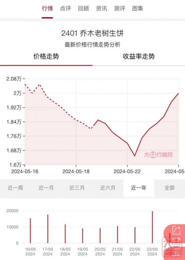 新品《2401 乔木老树》