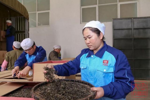 学会了这几招，你也可以评估大益茶的投资价值