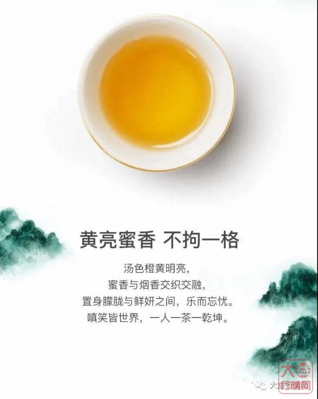 大益茶投资档案！——博采众家之长的千山一叶