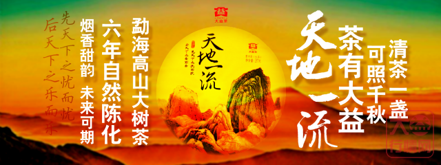 乘风而起的姊妹篇——天地一流与吾心光明（上）