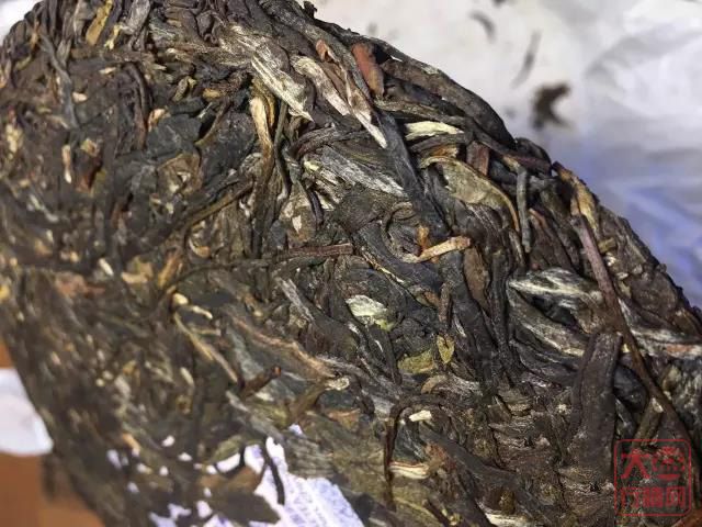 试茶大益山韵1601 苦酽蜜香两相宜